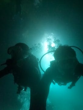 武藤潜水に投稿された画像（2024/6/15）