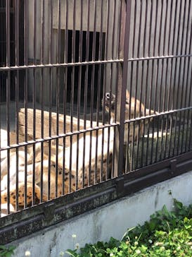 宇都宮動物園に投稿された画像（2024/6/15）