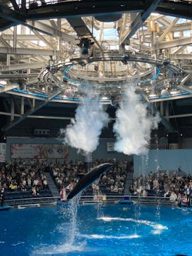 マクセル アクアパーク品川に投稿された画像（2024/6/15）