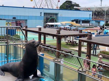 南知多ビーチランド＆南知多おもちゃ王国に投稿された画像（2024/6/15）