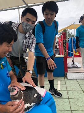 南知多ビーチランド＆南知多おもちゃ王国に投稿された画像（2024/6/15）