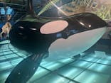 名古屋港水族館に投稿された画像（2024/6/15）