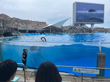 名古屋港水族館に投稿された画像（2024/6/15）