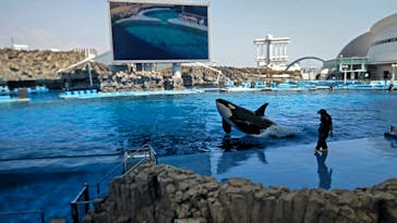 名古屋港水族館に投稿された画像（2024/6/15）