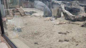 よこはま動物園ズーラシアに投稿された画像（2024/6/15）