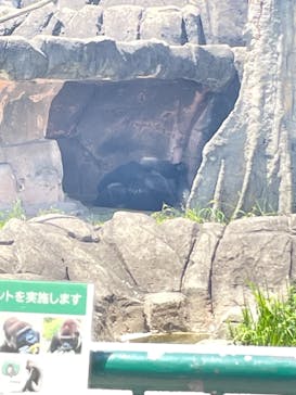 千葉市動物公園に投稿された画像（2024/6/15）