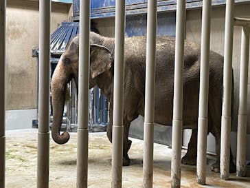 千葉市動物公園に投稿された画像（2024/6/15）