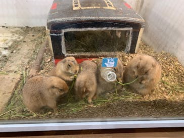 アニタッチみなとみらいに投稿された画像（2024/6/15）