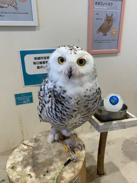 アニタッチみなとみらいに投稿された画像（2024/6/15）