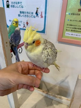 アニタッチみなとみらいに投稿された画像（2024/6/15）