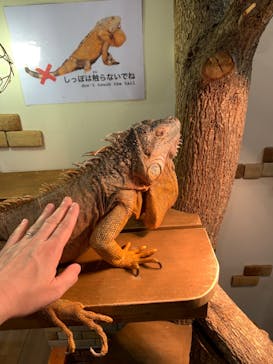 アニタッチみなとみらいに投稿された画像（2024/6/15）