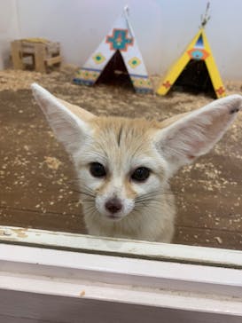 アニタッチみなとみらいに投稿された画像（2024/6/15）