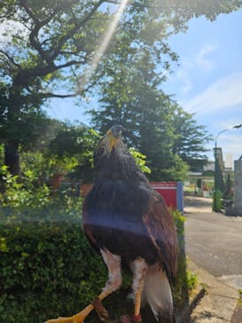 那須ハイランドパークに投稿された画像（2024/6/15）