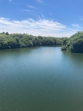 千葉こどもの国 キッズダムに投稿された画像（2024/6/15）