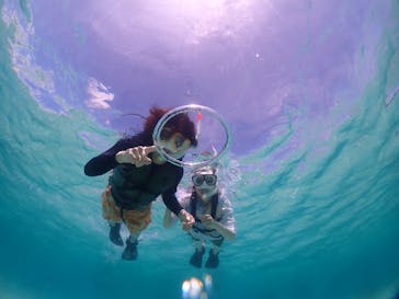 初心者専門宮古島シュノーケリングツアーに投稿された画像（2024/6/15）