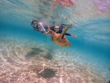 初心者専門宮古島シュノーケリングツアーに投稿された画像（2024/6/15）