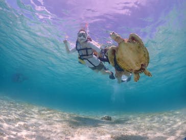 初心者専門宮古島シュノーケリングツアーに投稿された画像（2024/6/15）