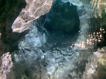 自然派企画に投稿された画像（2024/6/15）