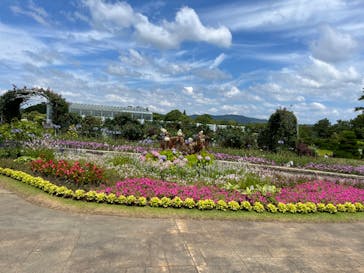 浜名湖花博2024に投稿された画像（2024/6/15）