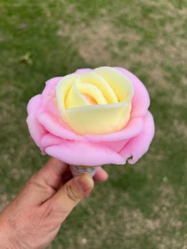 浜名湖花博2024に投稿された画像（2024/6/15）