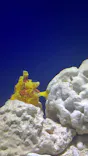 サンシャイン水族館に投稿された画像（2024/6/15）