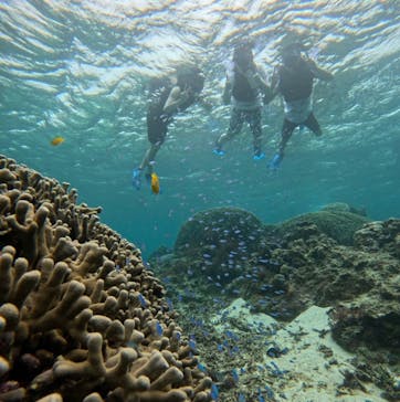 宮古島 ADVENTURE PiPi（ミヤコジマ アドベンチャー ピピ）に投稿された画像（2024/6/15）