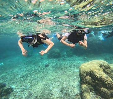 宮古島 ADVENTURE PiPi（ミヤコジマ アドベンチャー ピピ）に投稿された画像（2024/6/15）