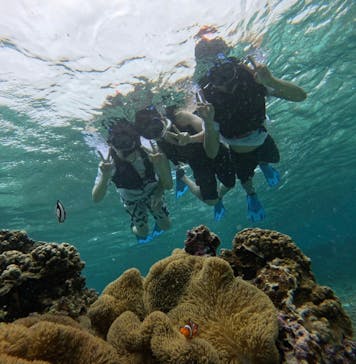 宮古島 ADVENTURE PiPi（ミヤコジマ アドベンチャー ピピ）に投稿された画像（2024/6/15）