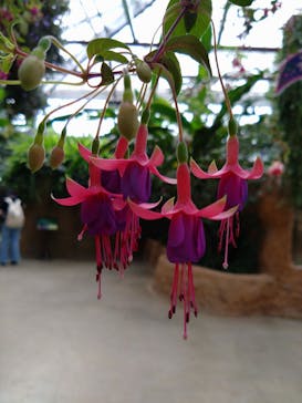 神戸どうぶつ王国に投稿された画像（2024/6/15）