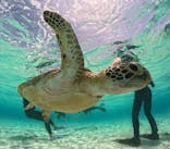 nico 宮古島に投稿された画像（2024/6/15）