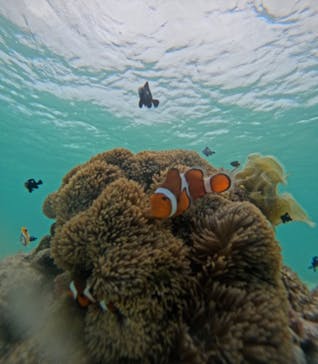 nico 宮古島に投稿された画像（2024/6/15）