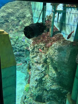 レゴランドⓇ・ジャパン・リゾートに投稿された画像（2024/6/15）