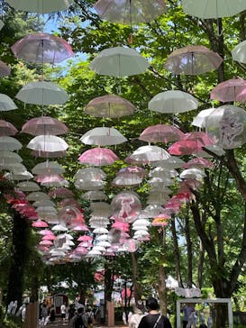 ムーミンバレーパークに投稿された画像（2024/6/15）