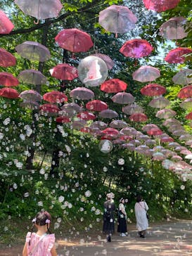 ムーミンバレーパークに投稿された画像（2024/6/15）