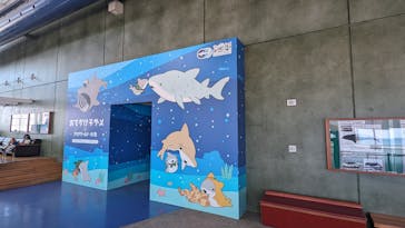 アクアワールド茨城県大洗水族館に投稿された画像（2024/6/15）
