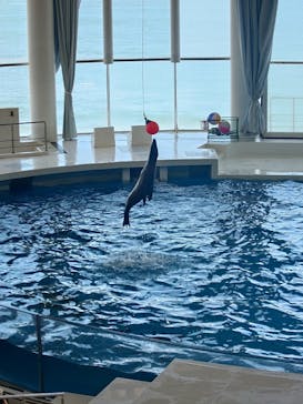 アクアワールド茨城県大洗水族館に投稿された画像（2024/6/15）