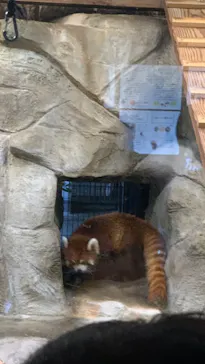 天王寺動物園に投稿された画像（2024/6/15）