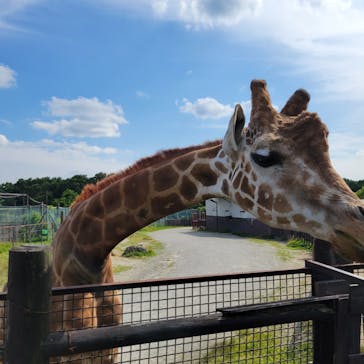 那須サファリパークに投稿された画像（2024/6/15）