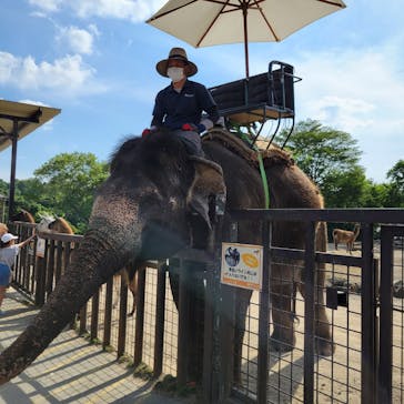 那須サファリパークに投稿された画像（2024/6/15）