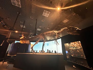 国立科学博物館に投稿された画像（2024/6/15）