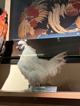 国立科学博物館に投稿された画像（2024/6/15）