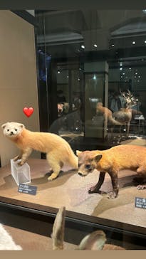 国立科学博物館に投稿された画像（2024/6/15）