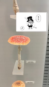 国立科学博物館に投稿された画像（2024/6/15）