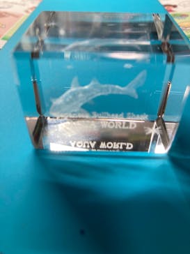 アクアワールド茨城県大洗水族館に投稿された画像（2024/6/15）