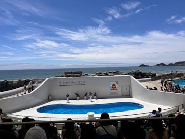 鴨川シーワールドに投稿された画像（2024/6/15）