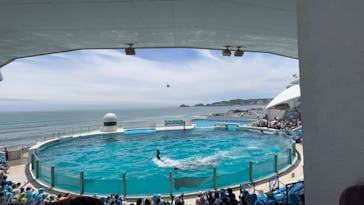 鴨川シーワールドに投稿された画像（2024/6/15）