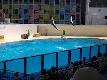 伊豆・三津シーパラダイスに投稿された画像（2024/6/15）