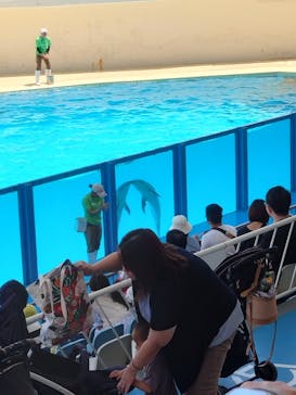 伊豆・三津シーパラダイスに投稿された画像（2024/6/15）