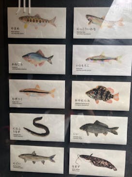 京都水族館に投稿された画像（2024/6/15）