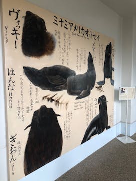 京都水族館に投稿された画像（2024/6/15）